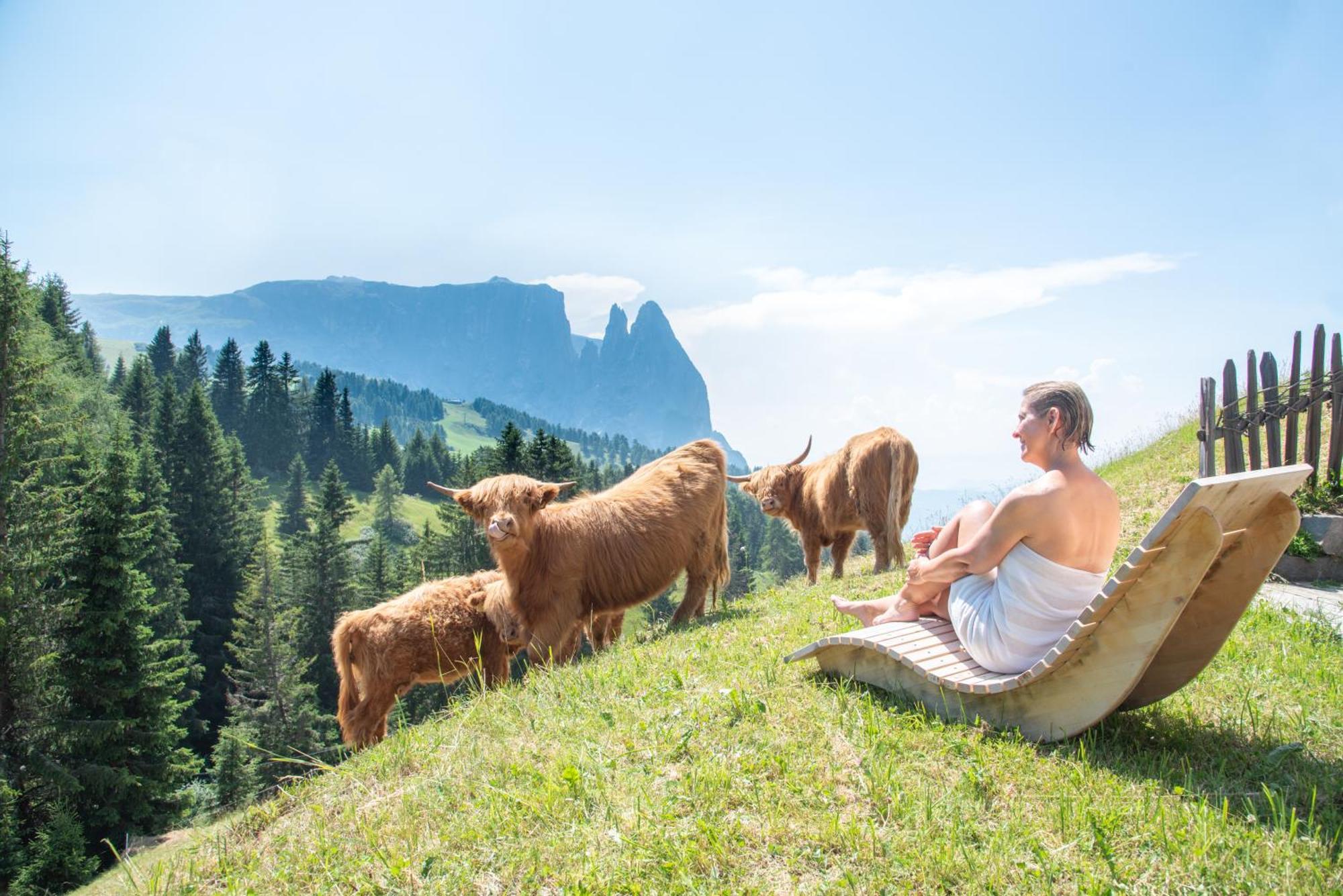 Hotel Chalet Dolomites Альпе-ди-Сьюзи Экстерьер фото