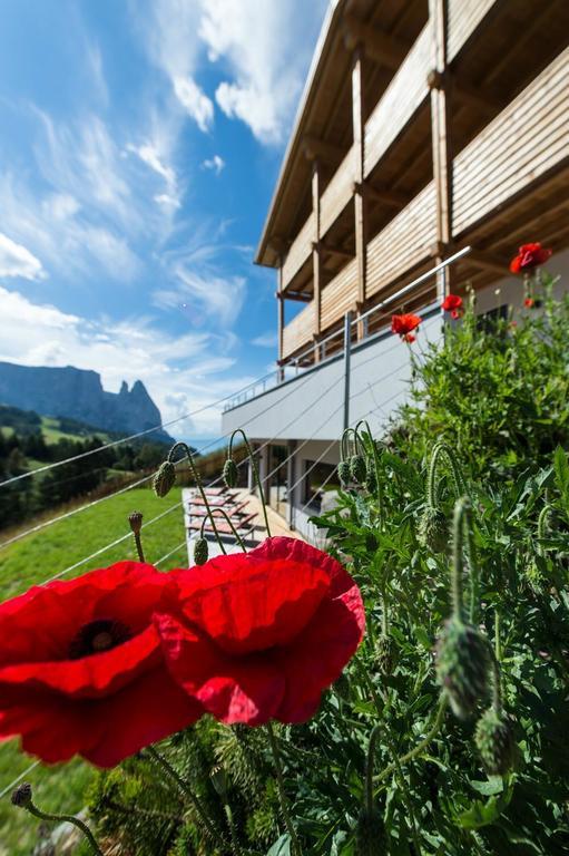 Hotel Chalet Dolomites Альпе-ди-Сьюзи Экстерьер фото