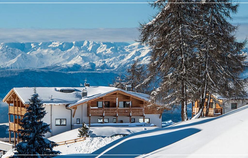 Hotel Chalet Dolomites Альпе-ди-Сьюзи Экстерьер фото